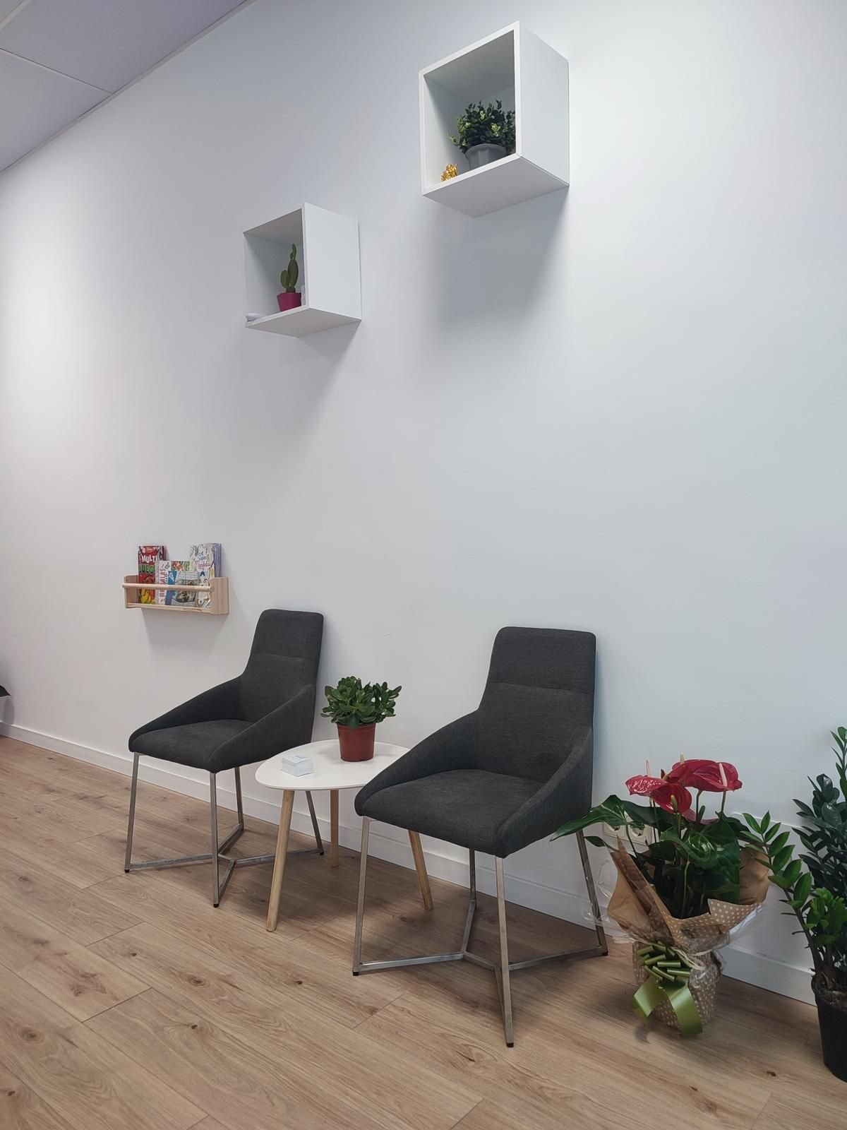 Moderna sala de espera con dos sillas oscuras, una mesa pequeña, estantes de pared y plantas en macetas en una habitación blanca.